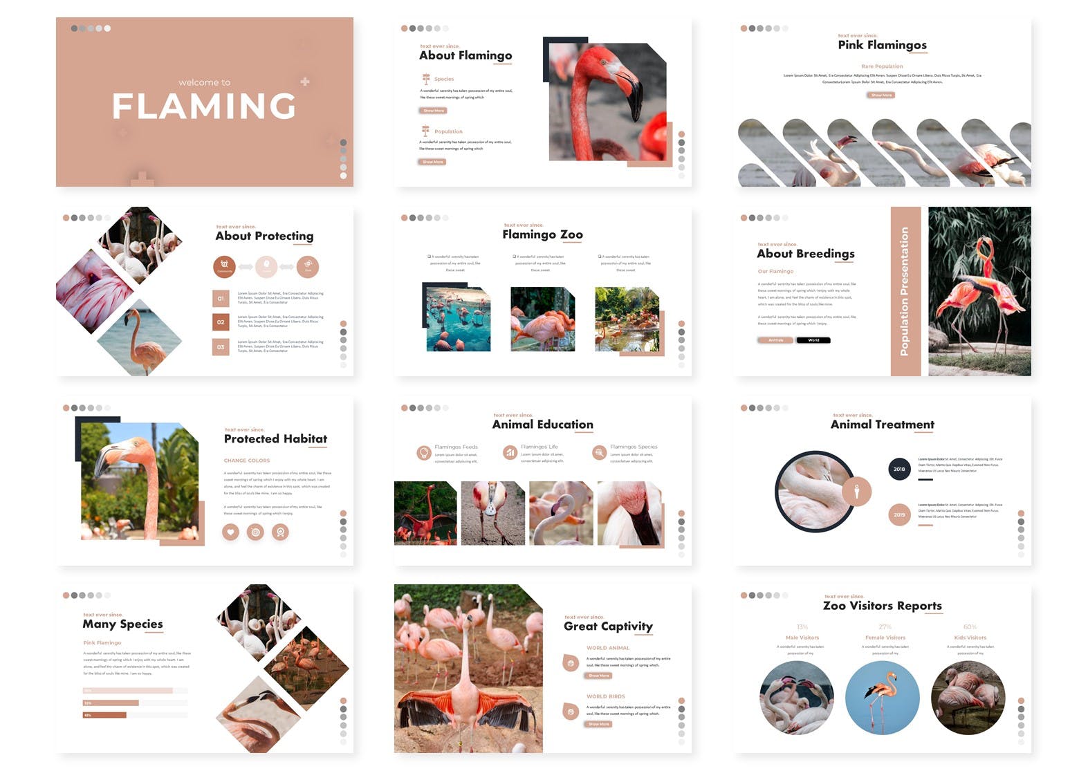 市场调研报告Keynote演示文稿设计模板 Flaming – Keynote Template插图(1)