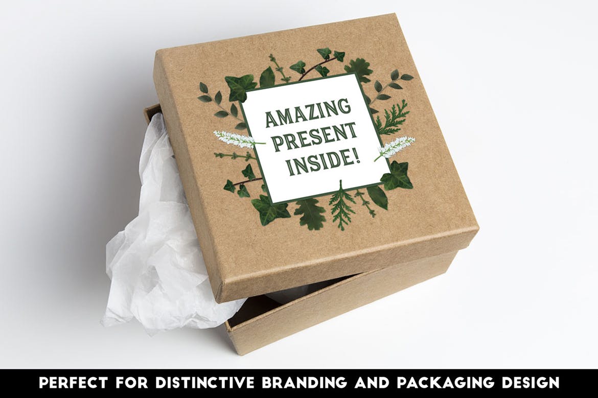 逼真植物花卉图案AI笔刷 The Vector Florist – Brushes: Winter插图(5)