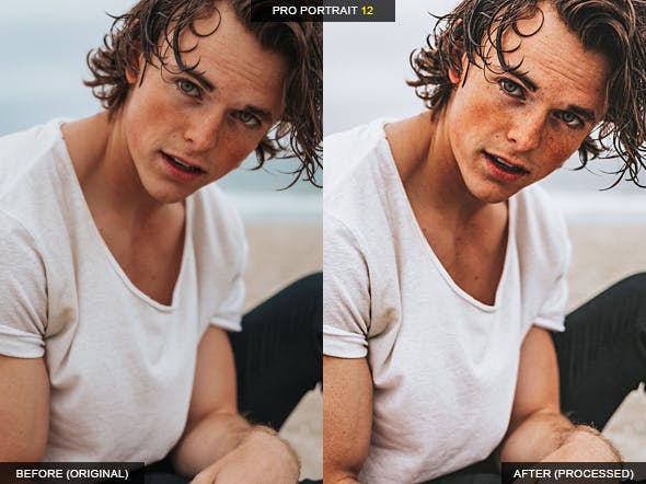 12款专业人像摄影美颜滤镜LR预设合集 12 Pro Portrait + VSCO Lightroom Presets插图(12)