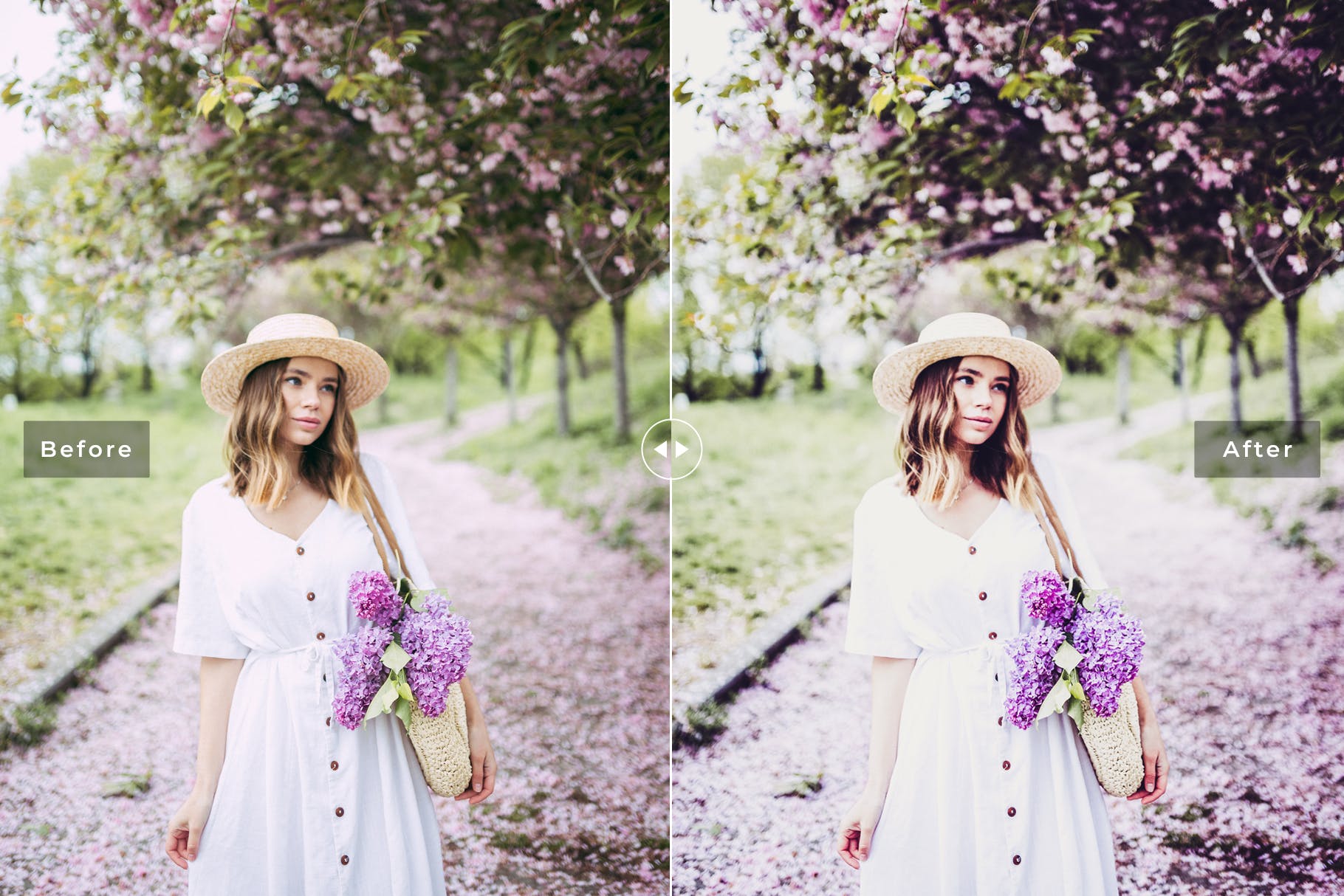 低饱和度柔和色调照片调色滤镜素材库精选LR预设 Sakura Mobile & Desktop Lightroom Presets插图(1)