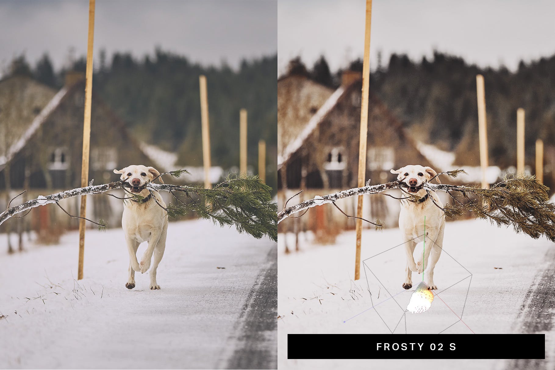 50款喜庆圣诞节主题摄影后期处理LR调色预设 50 Christmas Lightroom Presets LUTs插图(1)