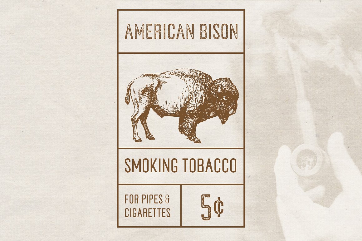 复古风格设计适用的英文无衬线字体 Tobacco Sans Serif Font插图(3)