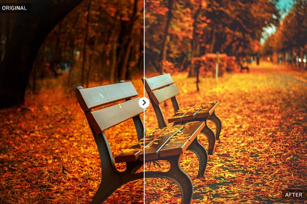 50款秋天氛围照片后期处理调色滤镜LR预设 50 Autumn Lightroom Presets插图(5)