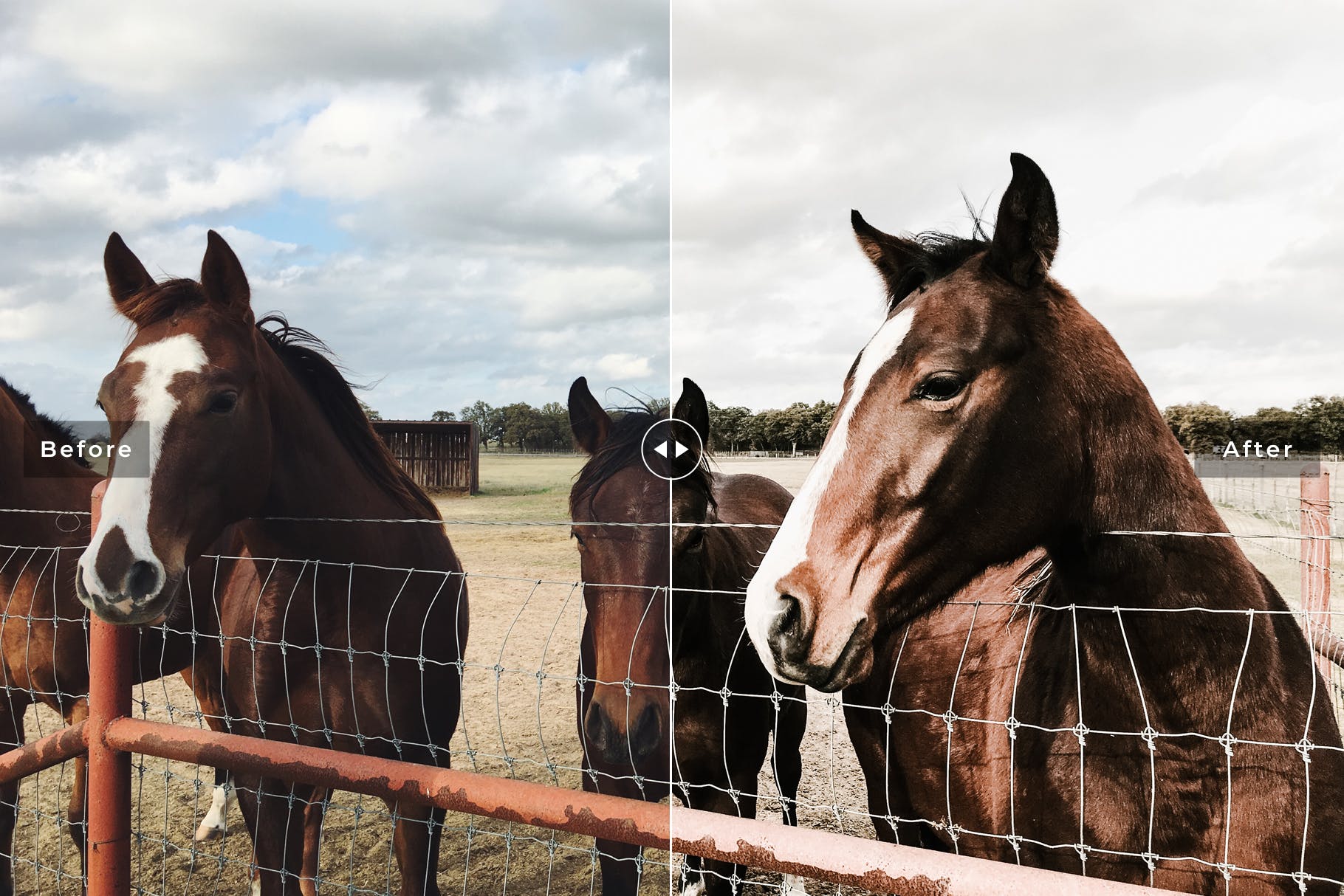 亮金色彩增强照片后期处理LR调色预设 Texas Mobile & Desktop Lightroom Presets插图(5)