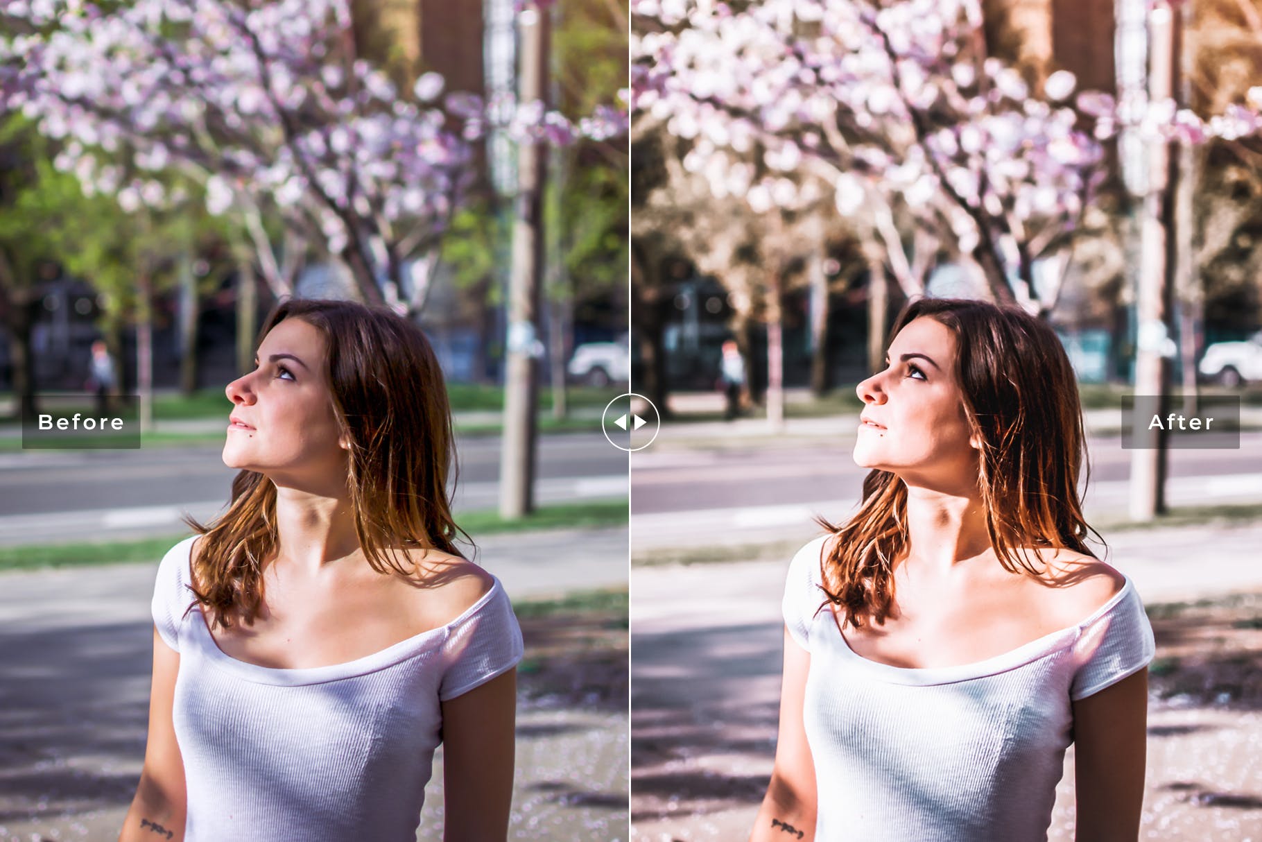 低饱和度柔和色调照片调色滤镜素材库精选LR预设 Sakura Mobile & Desktop Lightroom Presets插图(3)