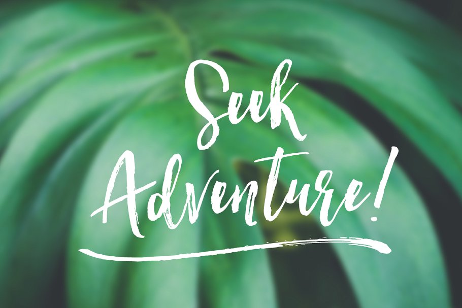 轻舞飞扬般流畅画笔笔刷英文字体 Hartley Rough Brush Script Font插图(1)