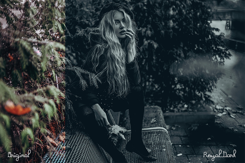 一款皇家黑暗艺术时尚风格PS动作下载插图(1)