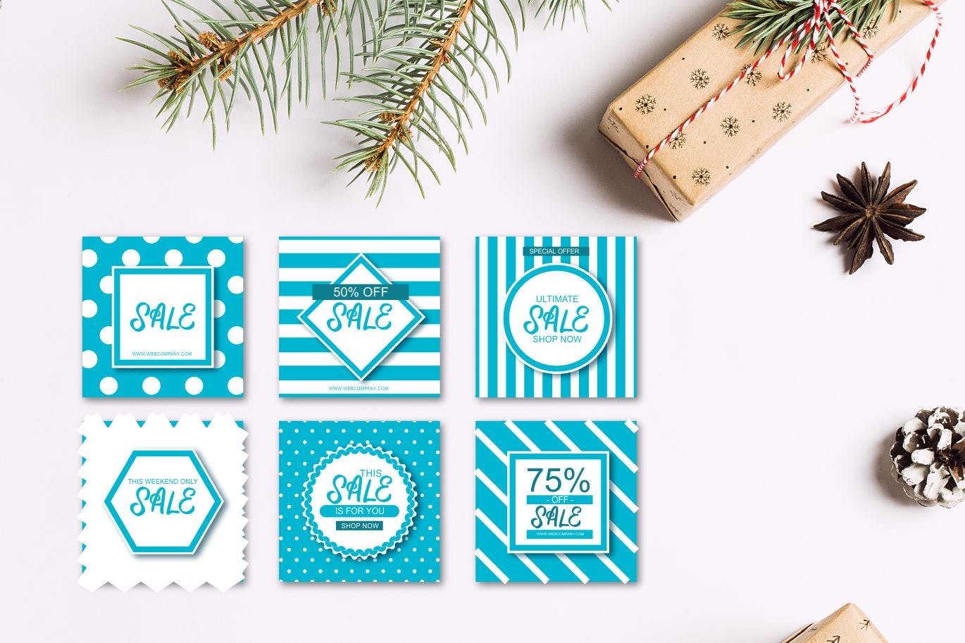 笔刷书法风格英文手写字体 Alya | Brush Style Font插图(2)