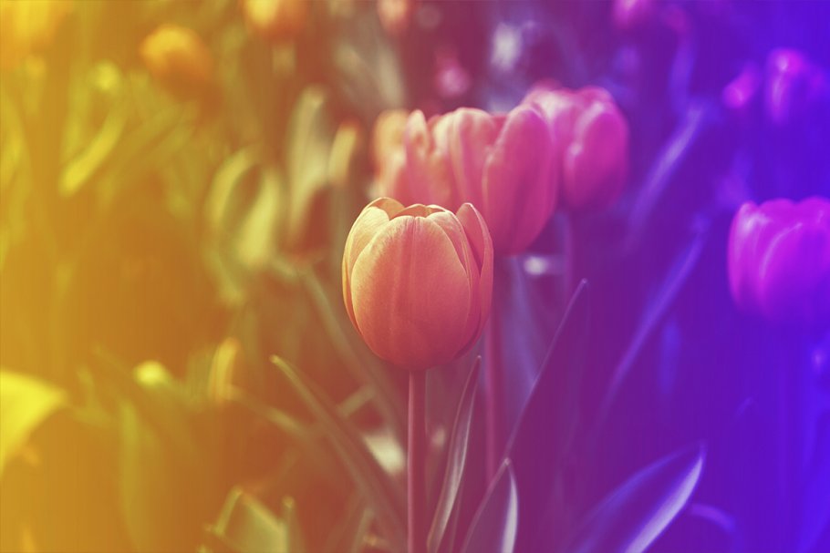 照片复古怀旧风格PS动作 Vintage Effects Set插图(8)