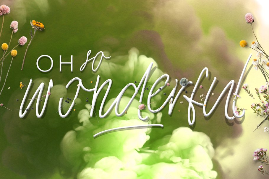 豪迈流畅钢笔英文书法字体下载 Joy Flight Script Font插图(3)