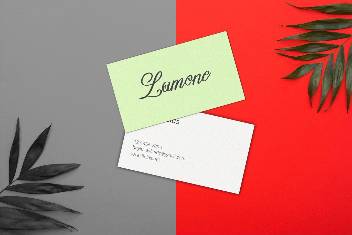 英文旋流书法创意字体下载 Yafoga – Swirl Calligraphy插图(1)