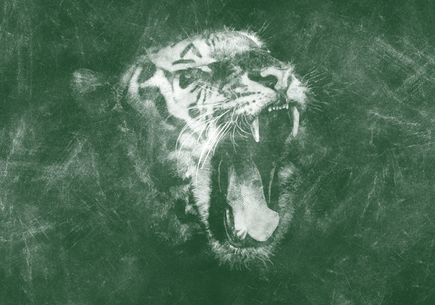 黑板粉笔素描艺术效果素材库精选PS动作 Chalkboard CS4+ Photoshop Action插图(5)