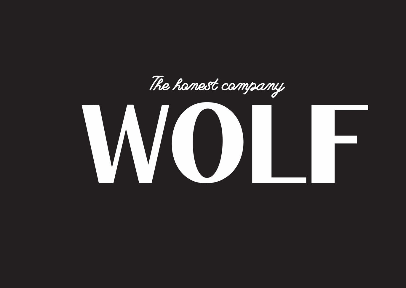 复古排版印刷风格英文无衬线字体 Holden VIntage Type插图(2)