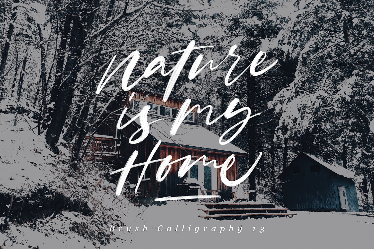 Procreate应用艺术书法字体笔刷合集插图(10)