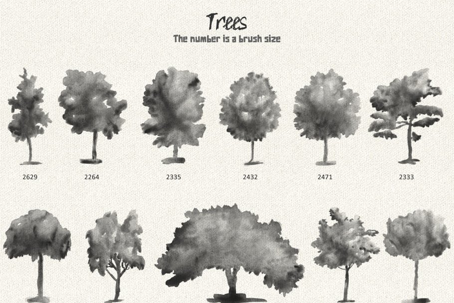 水彩花卉印章PS笔刷 Floral Watercolor PS Stamp Brushes插图(5)