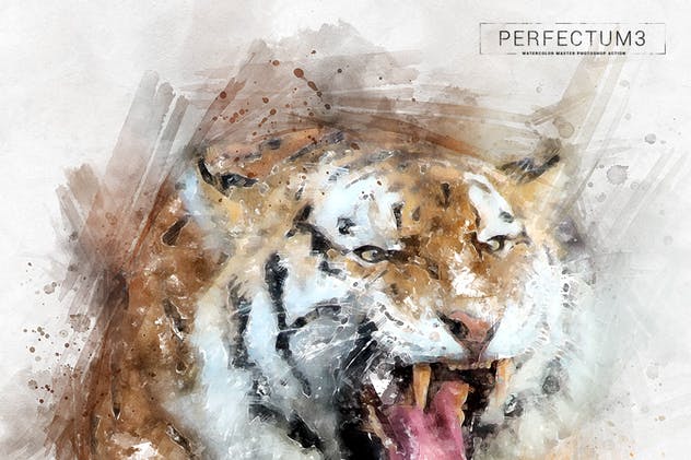 水彩插画大师PS动作 Perfectum 3 – Watercolor Master Photoshop Action插图(5)