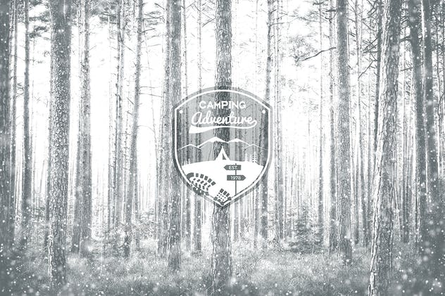 雪花飞舞动态效果PS动作 Snow Animation Photoshop Action插图(3)