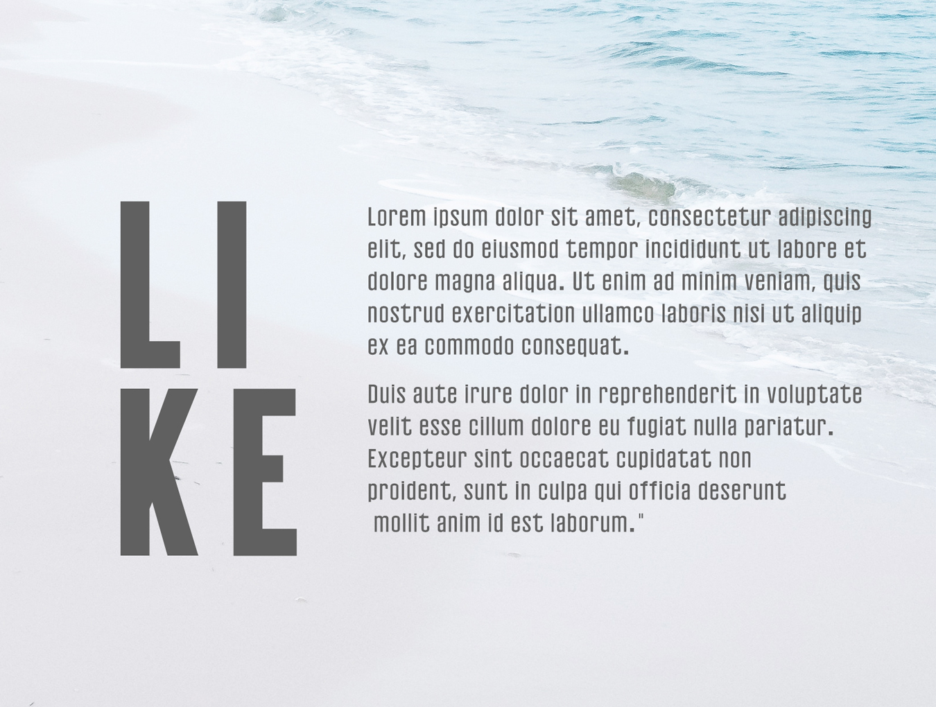 现代简约的无衬线字体下载插图(3)