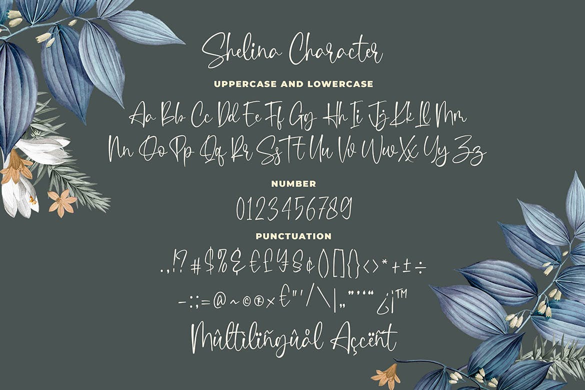 英文连笔书法字体素材库精选 Shelina Beauty Script Font插图(3)