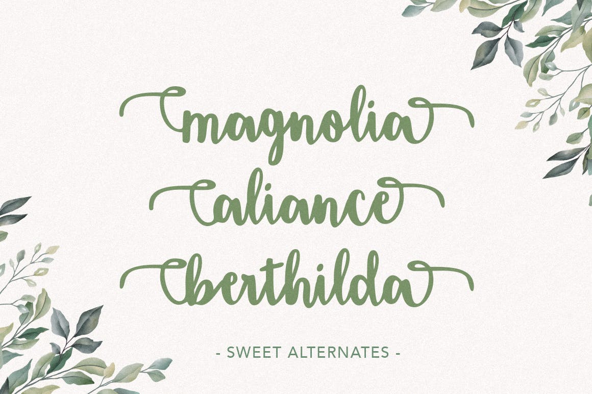 平面设计英文标题草书字体下载 Amigueta Script插图(2)