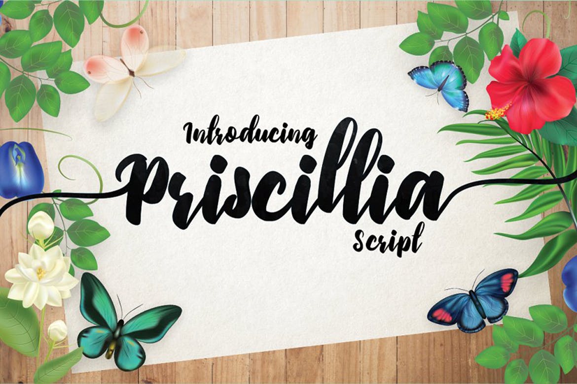 可爱毛笔手绘英文笔刷艺术字体下载 Priscillia Script插图