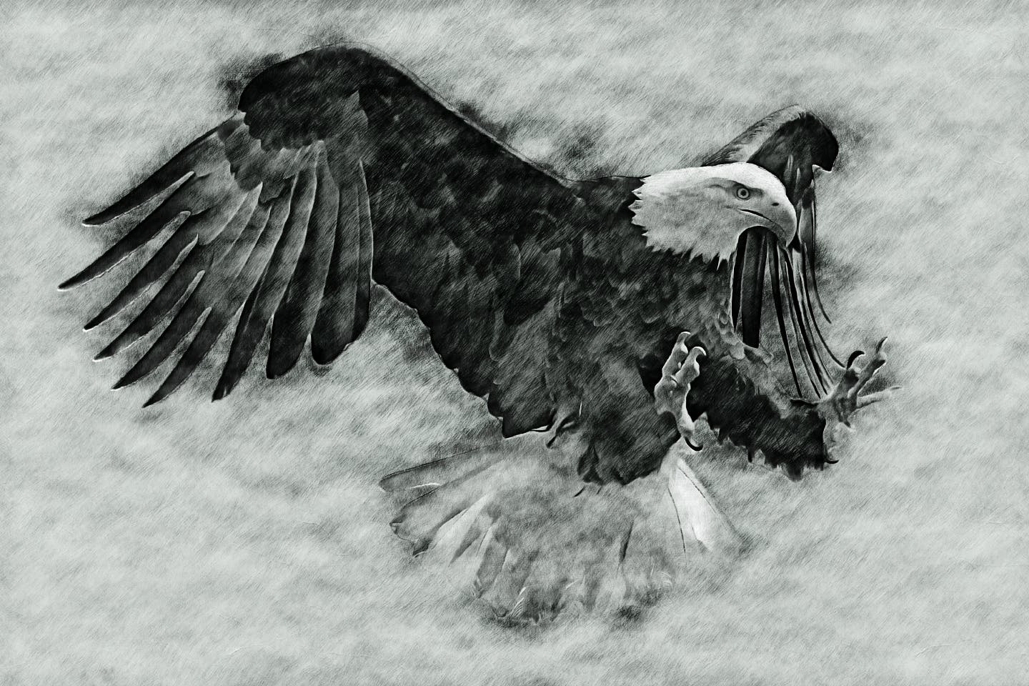 照片铅笔素描效果一键生成素材库精选PS动作 Light Sketch CS4+ Photoshop Action插图(2)