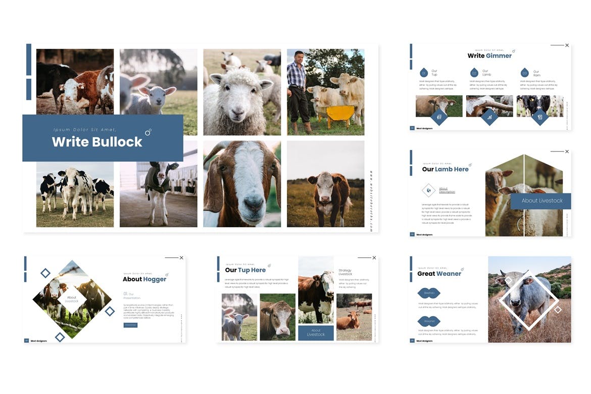 养殖业/牧场宣传谷歌幻灯片设计模板 Producing – Google Slides Template插图(3)