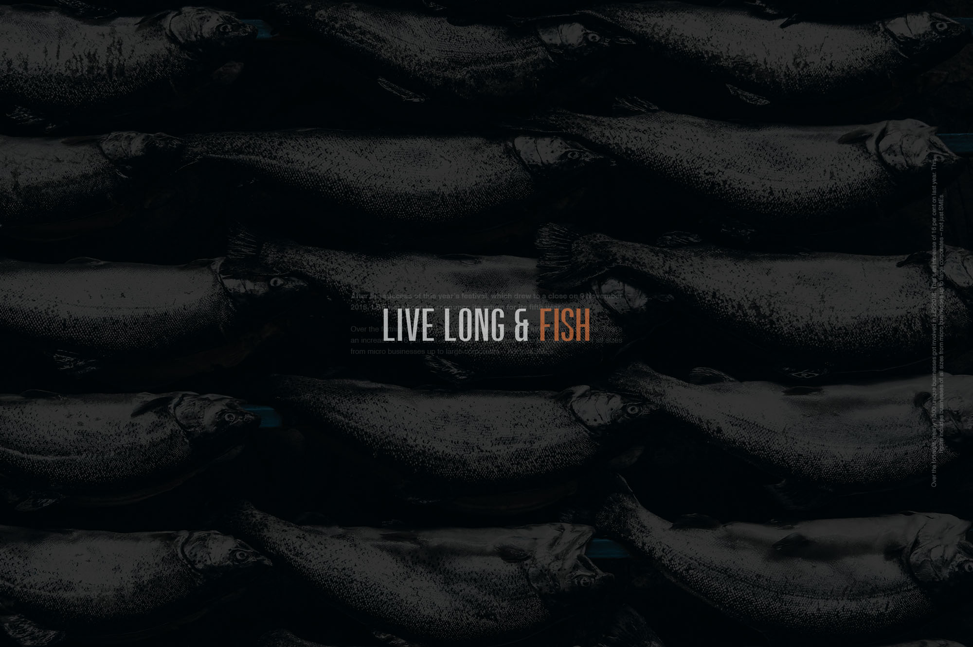 设计师无衬线字体字体系列 Designer Font Family插图(5)