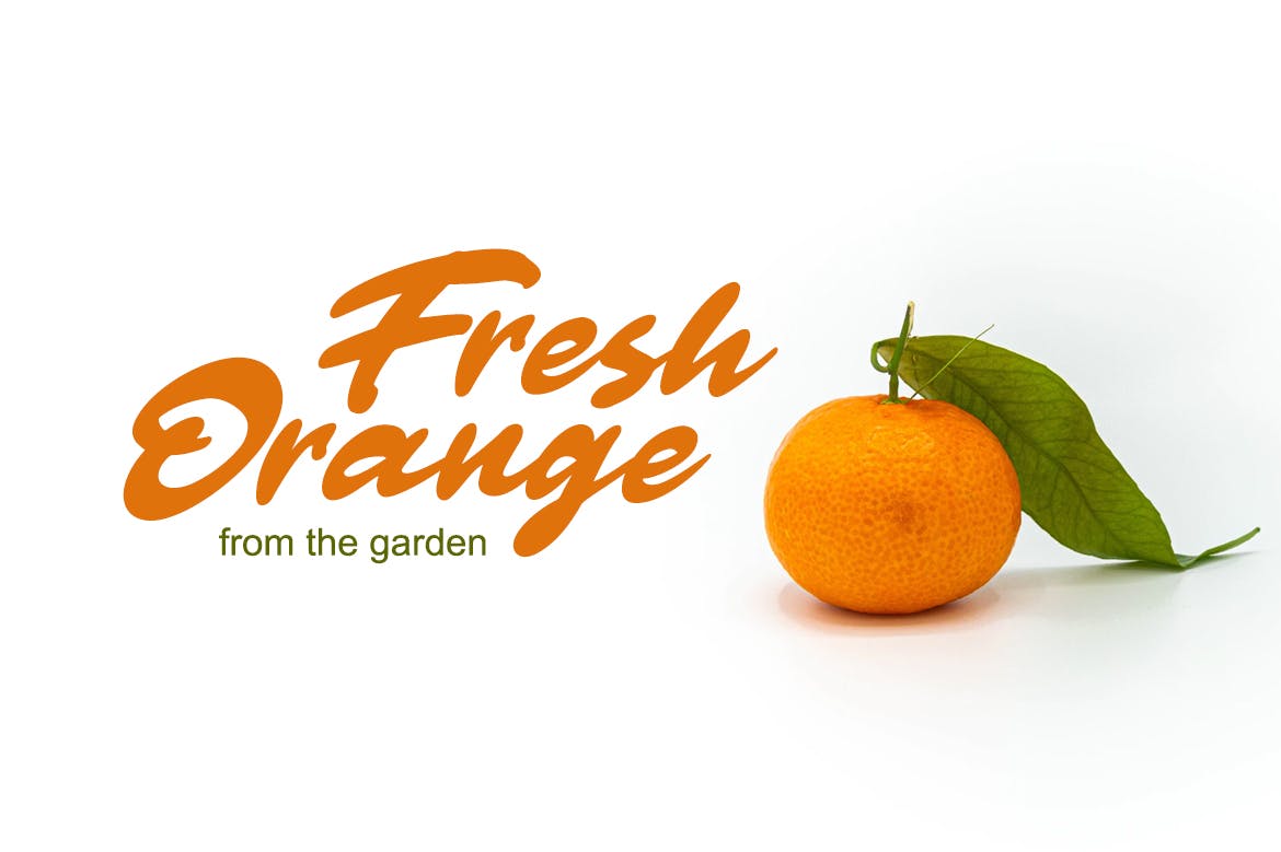 粗体画笔手写英文字体素材库精选 Clarkton – Bold Script Font插图(1)