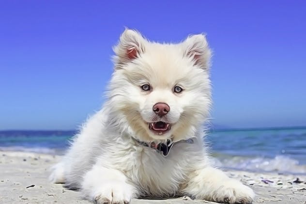 逼真人物油画效果一键生成PS动作 Oil Paint Photoshop Action插图(8)