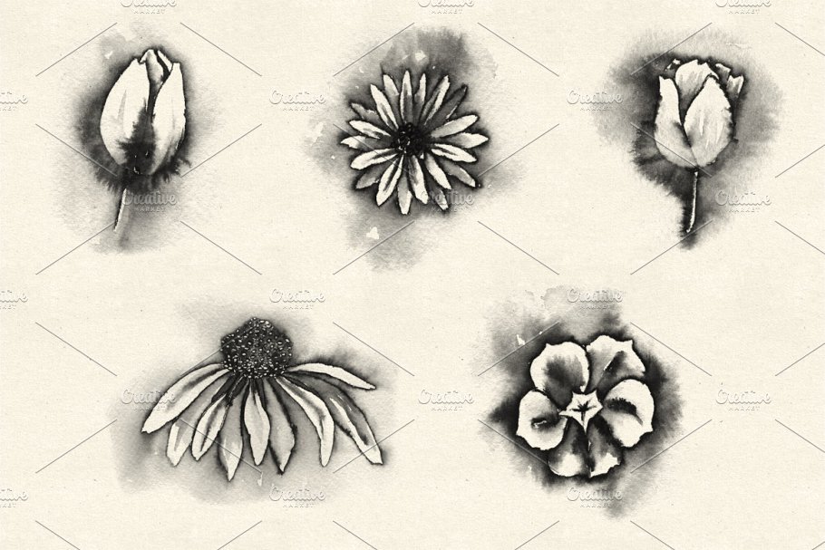 水彩手绘花卉图案PS笔刷 Watercolor Flowers Brush Pack 1插图(2)