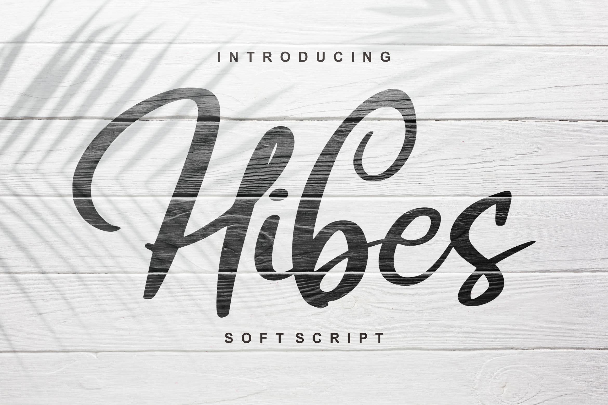 软笔刷书法风格英文手写字体素材库精选 Hibes | Soft Script Font插图