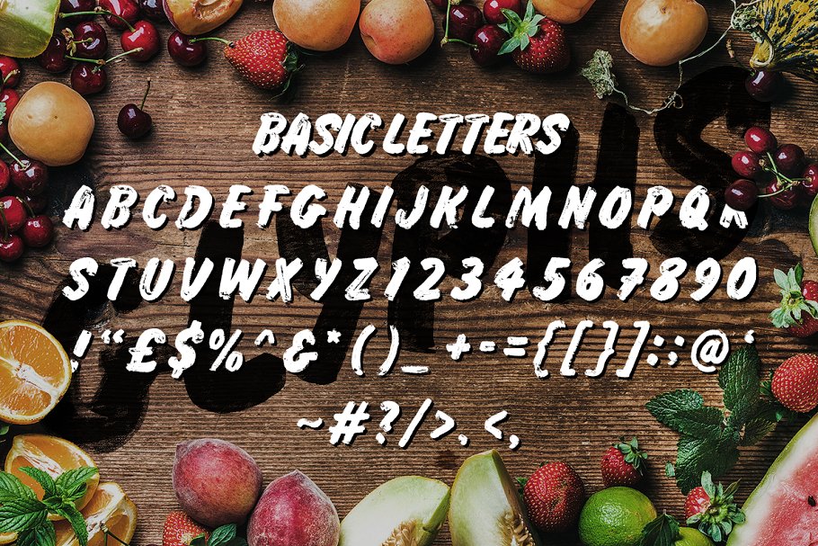 经典招牌写作手写脚本字体 Grocery Brush & Hand (PLUS Extras)插图(2)