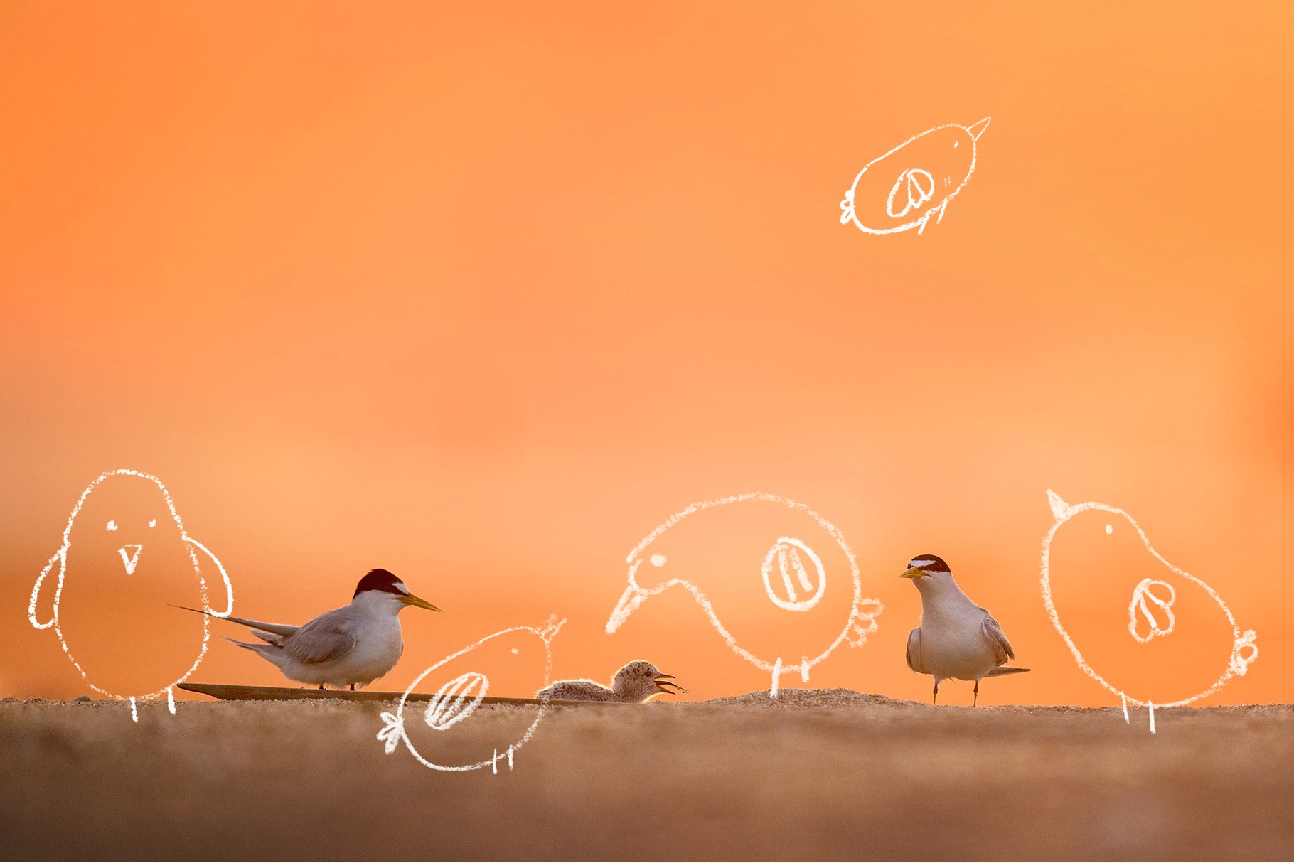 趣味的蜡笔PS笔刷下载 Scribble-PS Brushes [abr]插图(6)