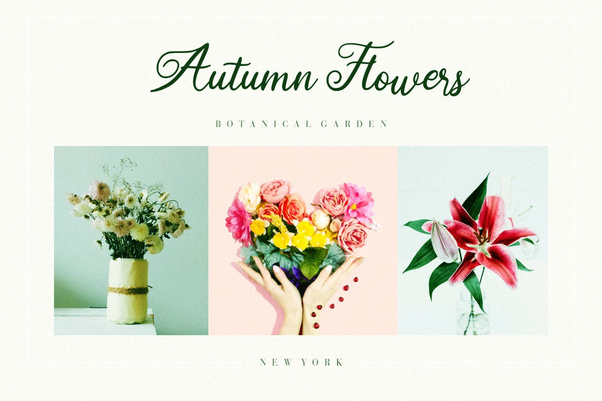 非常适合品牌设计的优雅风格英文书法字体 Crownys Calligraphy Script插图(4)