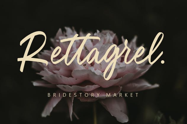 绘画画笔英文书法字体 Oregon Script MS插图(2)