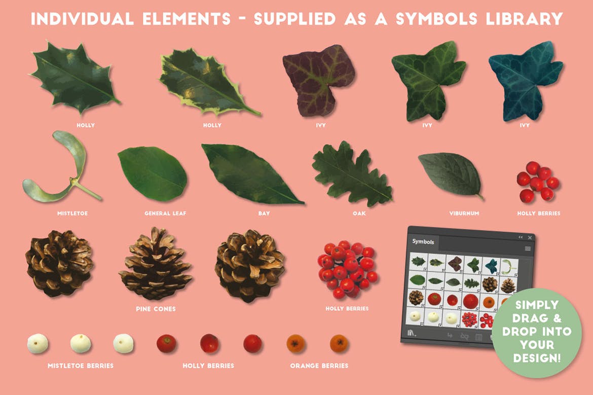 逼真植物花卉图案AI笔刷 The Vector Florist – Brushes: Winter插图(9)