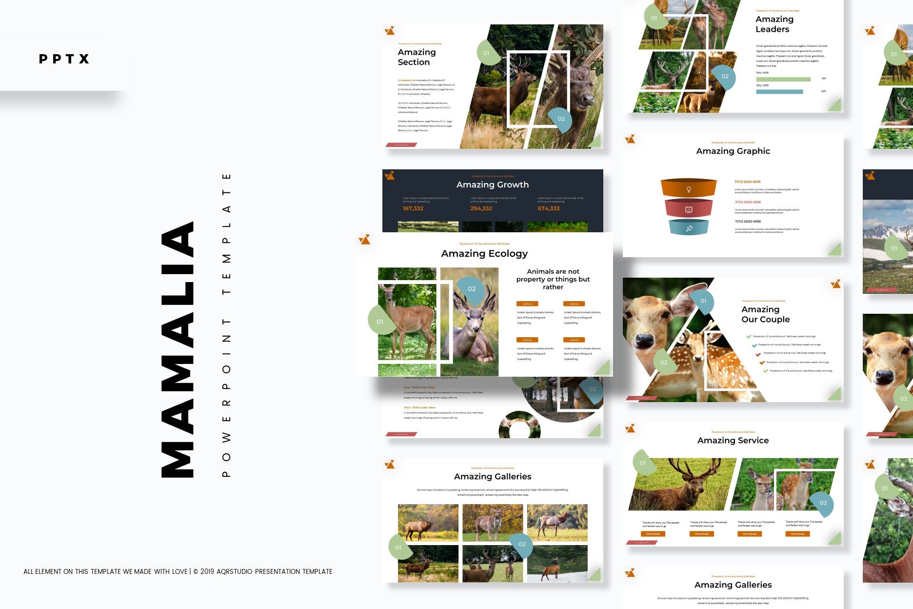 野生动物主题PPT幻灯片设计模板 Mamalia – Powerpoint Template插图