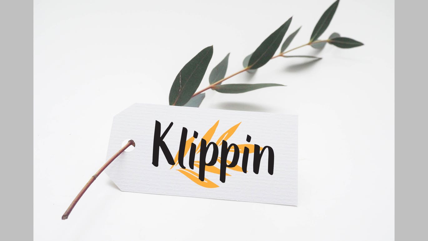 Logo/海报/服装/标签设计英文笔刷字体素材库精选 Lintang – Brush Font插图(1)