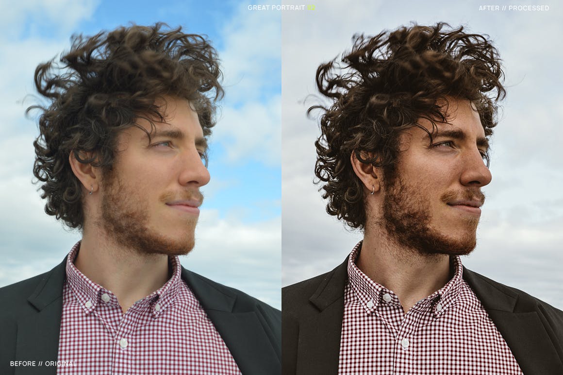 14个摄影大师收藏级别LR照片调色预设 14 Great Portrait Lightroom Presets + Mobile插图(2)