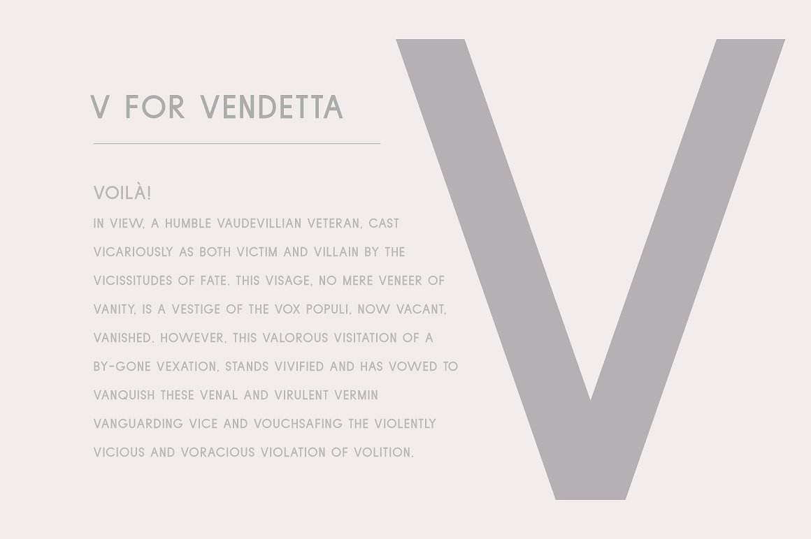 现代优雅品牌设计英文无衬线字体 Violet Font插图(2)