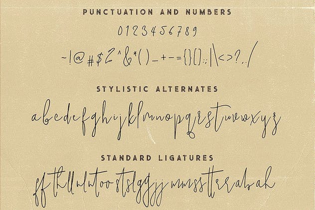 二重奏字体：手写草书书法+粗体无衬线英文字体 Mindset Font Duo插图(8)