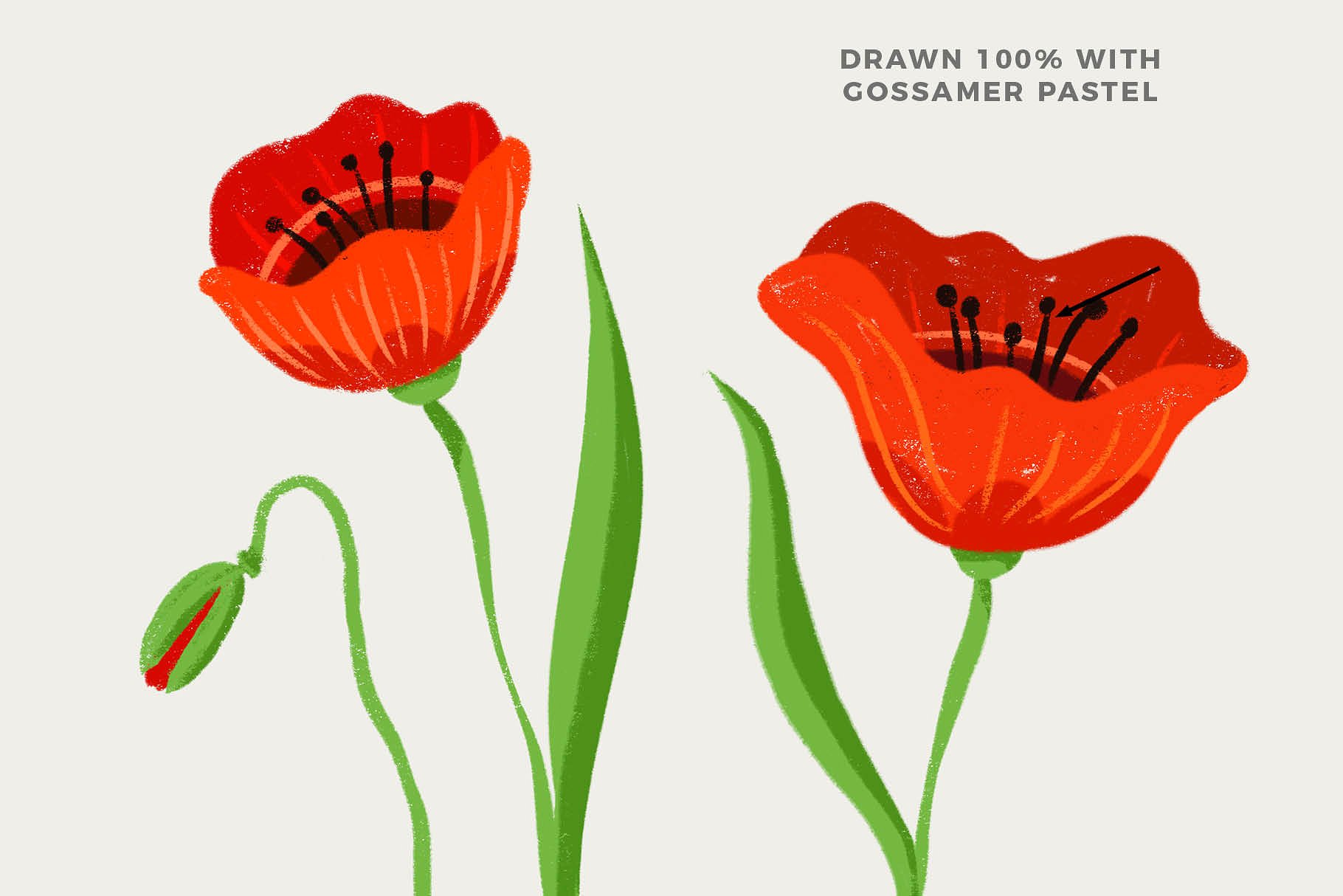 彩色粉笔蜡笔画Procreate专用笔刷 Texturrific Pastels for Procreate插图(2)