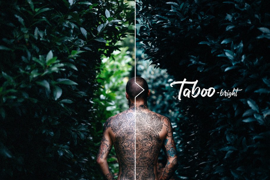 大片级人像摄影美颜PS动作 Taboo Fantasy Actions for Photoshop插图(5)