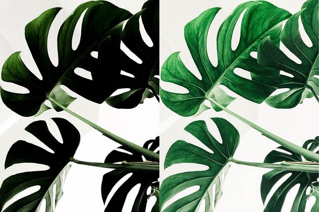 温馨明亮浅色调照片效果LR预设 Bright and airy Lightroom Mobile Preset插图(3)