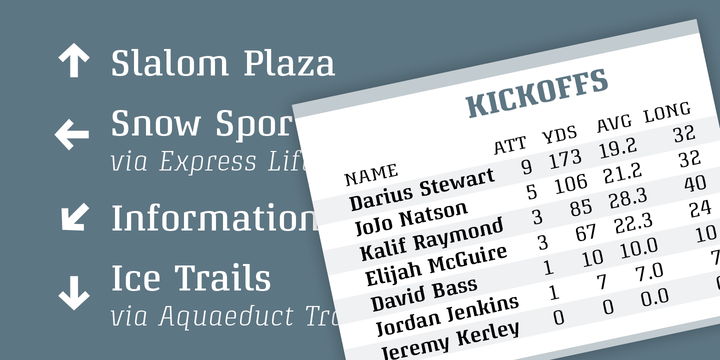 Attorney Font Family插图3