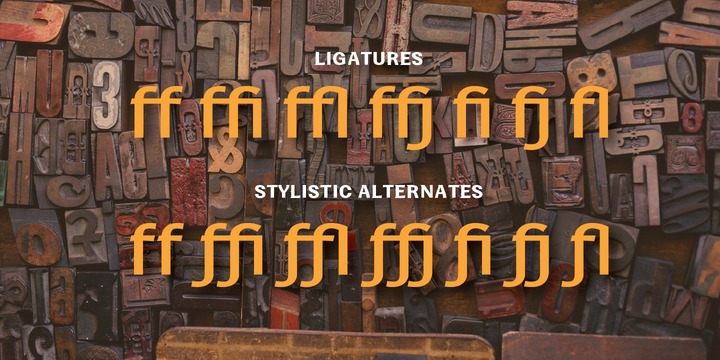 TypeOgraf Pro Font Family插图1