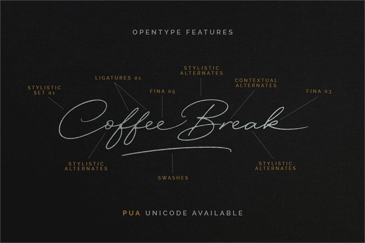 Excellent Signature Demo font插图4 Excellent Signature Demo font插图4