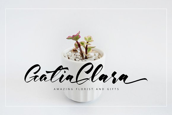 Mattinha Font插图3