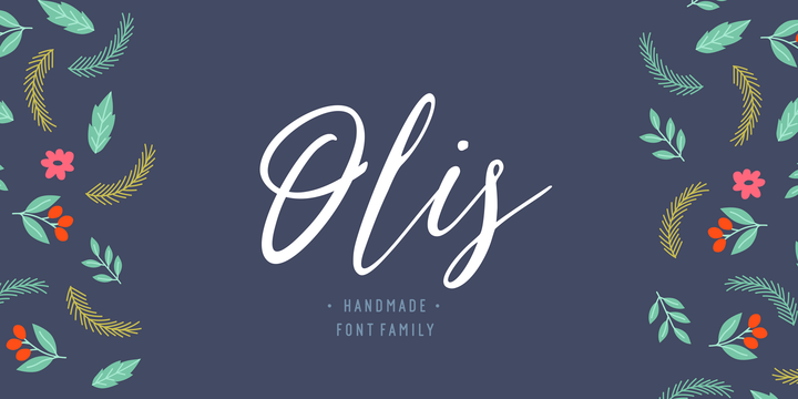Olis Font Family插图1